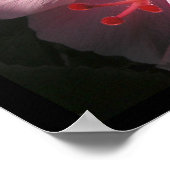 ハイハイハイビスカスラシティシャドーポスタープリント ポスター (角)