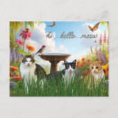 ハイハローニャー/猫と庭のかわいい動物 ポストカード (正面)