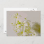 ハイハンキャス ポストカード (正面/裏面)