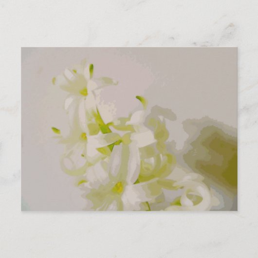 ハイハンキャス ポストカード (正面)