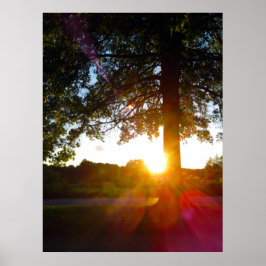 ハイバンクス地下鉄公園でサンセット、コロンバス、オハイオ ポスター