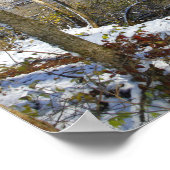 ハイバンクス・メトロ・パーク、ハイブラフス、冬、オハイオ ポスター (角)