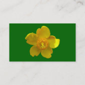 ハイパウムヒドコテ – グラスグリーン 名刺 (裏面)