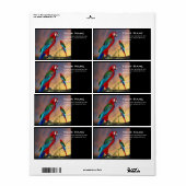 ハイパロッツ ラベル (フルシート)