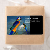 ハイパロッツ ラベル (インサイチュ)