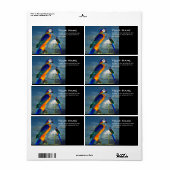 ハイパロッツ ラベル (フルシート)