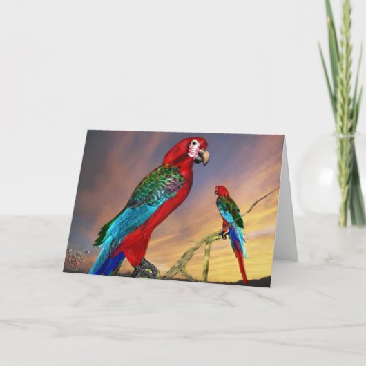 ハイパロッツ/レッドアラ カード (正面)