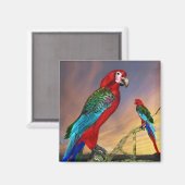 ハイパロッツ/レッドアラ マグネット (正面/裏面)