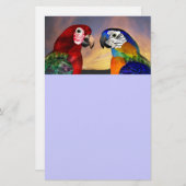 ハイパロッツ 便箋 (正面/裏面)