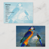 ハイパロッツ 名刺 (正面/裏面)