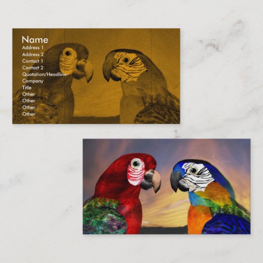 ハイパロッツ 名刺 (正面/裏面)