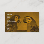 ハイパロッツ 名刺 (正面)