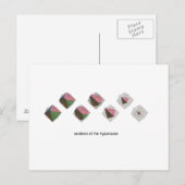 ハイパーキューブのセクション ポストカード (正面/裏面)