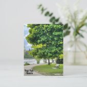 ハイパークトロントのはがき ポストカード (スタンド正面)