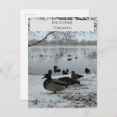 ハイパークトロントの冬のはがき ポストカード (正面/裏面)