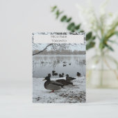 ハイパークトロントの冬のはがき ポストカード (スタンド正面)