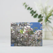 ハイパーク ポストカード (スタンド正面)