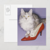 ハイヒールに踏み込んだ猫 ポストカード (正面/裏面)