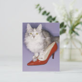 ハイヒールに踏み込んだ猫 ポストカード (スタンド正面)