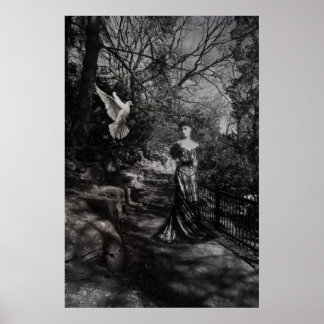 ハイビクトリアンパーク…時間内の散歩 ポスター