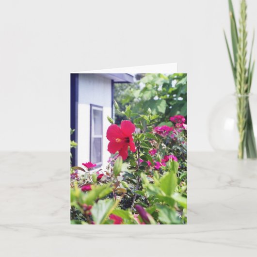 ハイビスカスこんにちは カード (正面)