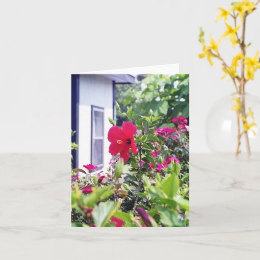 ハイビスカスこんにちは カード (黄色い花)