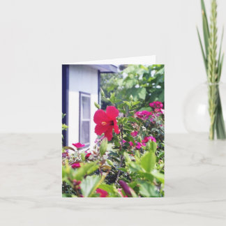 ハイビスカスこんにちは カード