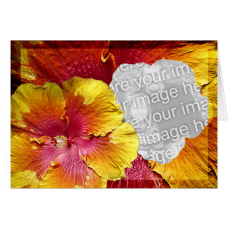 ハイビスカスのテンプレート1