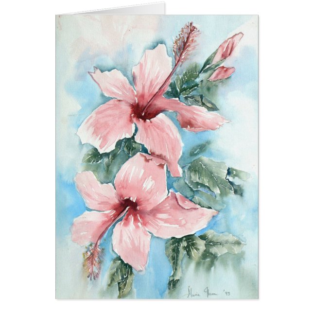 ハイビスカスの喜び (正面)