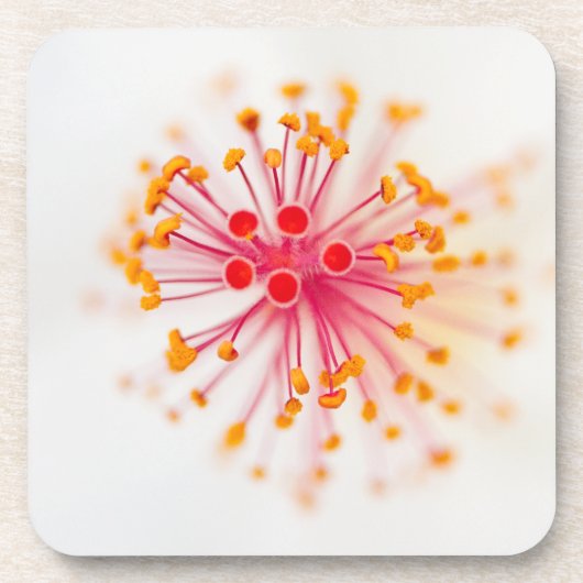 ハイビスカスの堅いプラスチックコースター(6)の置いて下さい コースター (正面)