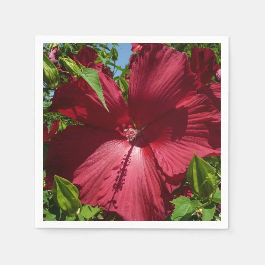 ハイビスカスの花と青空 スタンダードカクテルナプキン (正面)