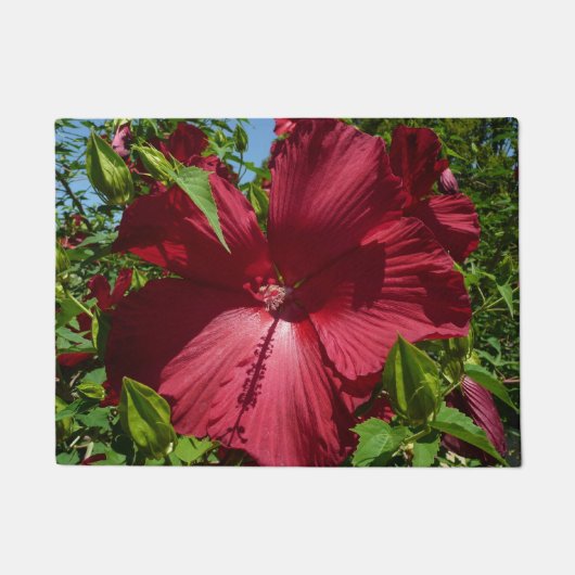 ハイビスカスの花と青空 ドアマット (正面)