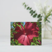 ハイビスカスの花と青空 ポストカード (スタンド正面)