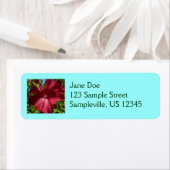 ハイビスカスの花と青空 ラベル (インサイチュ)