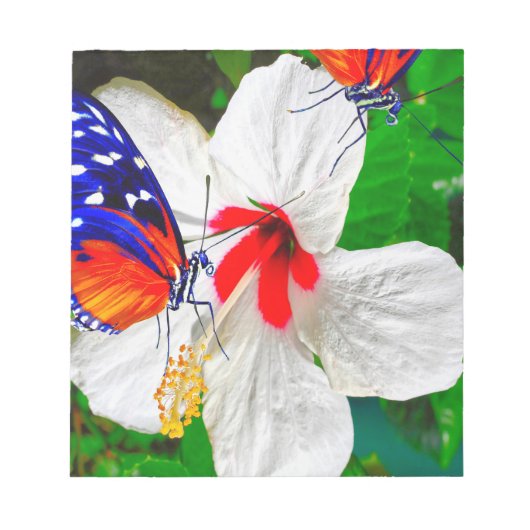 ハイビスカスの花と2タイガーの蝶 ノートパッド (正面)
