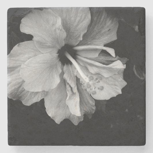 ハイビスカスの花の写真 ストーンコースター (正面)