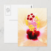 ハイビスカスの花の写真 ポストカード (正面/裏面)