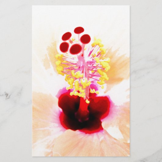 ハイビスカスの花の写真 便箋 (正面)