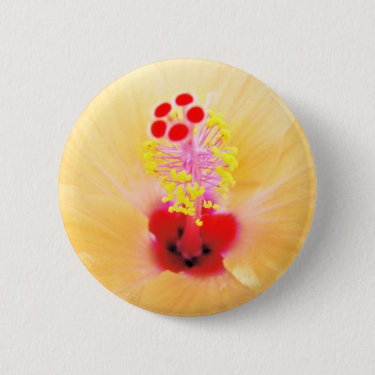 ハイビスカスの花の写真 缶バッジ (正面)