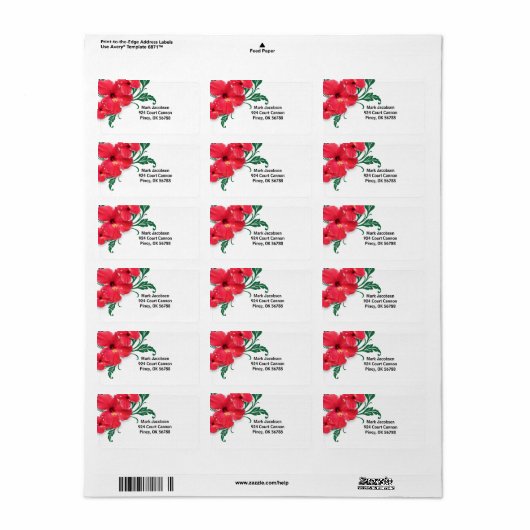 ハイビスカスの花 ラベル (フルシート)