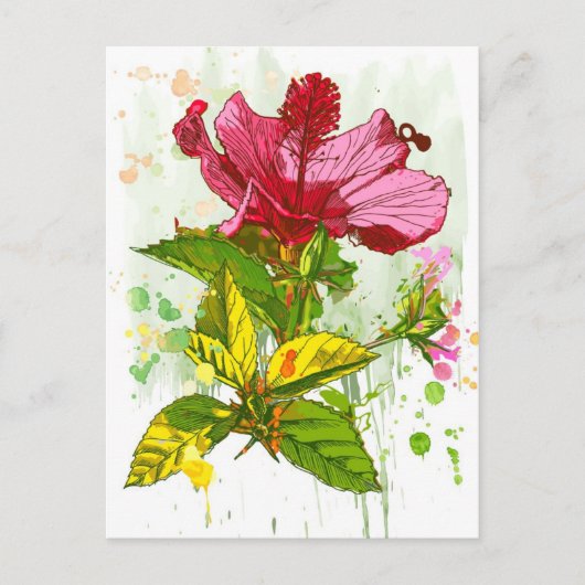 ハイビスカスの花 – 水絵を描色 ポストカード (正面)