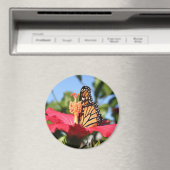 ハイビスカスの蝶 マグネット (インサイチュ (食洗機))