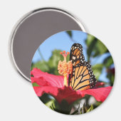 ハイビスカスの蝶 マグネット (正面/裏面)