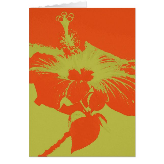 ハイビスカスの開花#8 (正面)