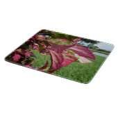 ハイビスカスは植物を"始動させ、凍らします" カッティングボード (角)