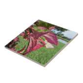 ハイビスカスは植物を"始動させ、凍らします" タイル (側面)