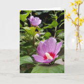 ハイビスカスシリアカスアフロディーテ低木、バラ開花 カード (黄色い花)