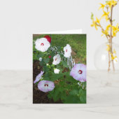 ハイビスカスノテカード，品種 カード (黄色い花)