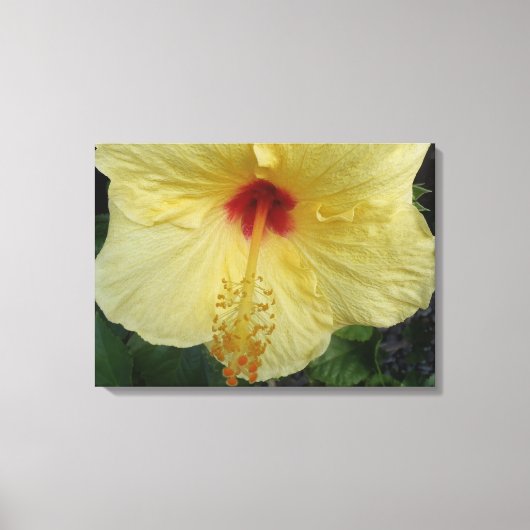 ハイビスカスハワイアンカンバスラップ キャンバスプリント (正面)