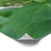 ハイビスカスバdsポスター ポスター (角)